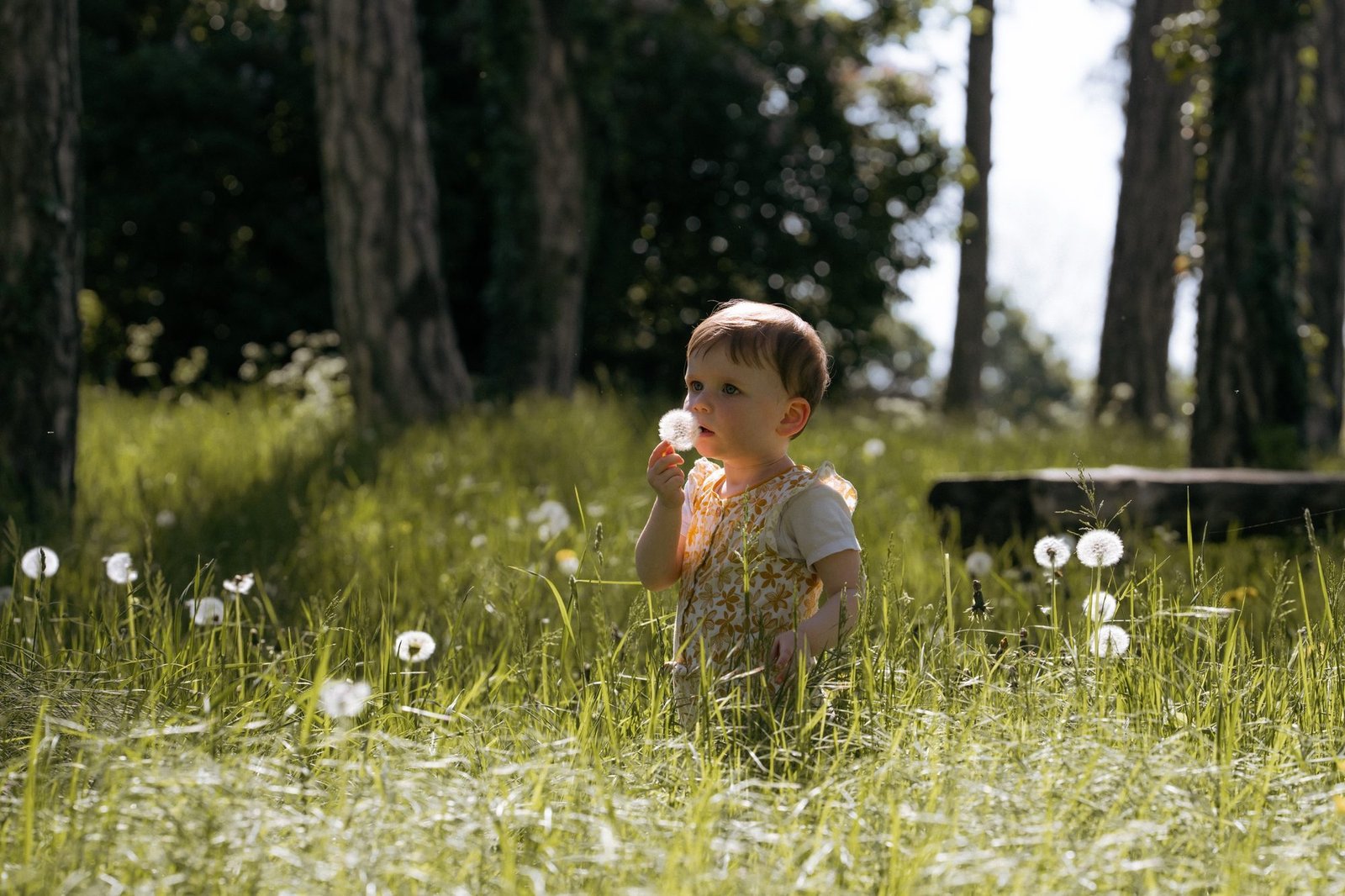 Bébé apaisé dans les bras de sa maman, lumière naturelle