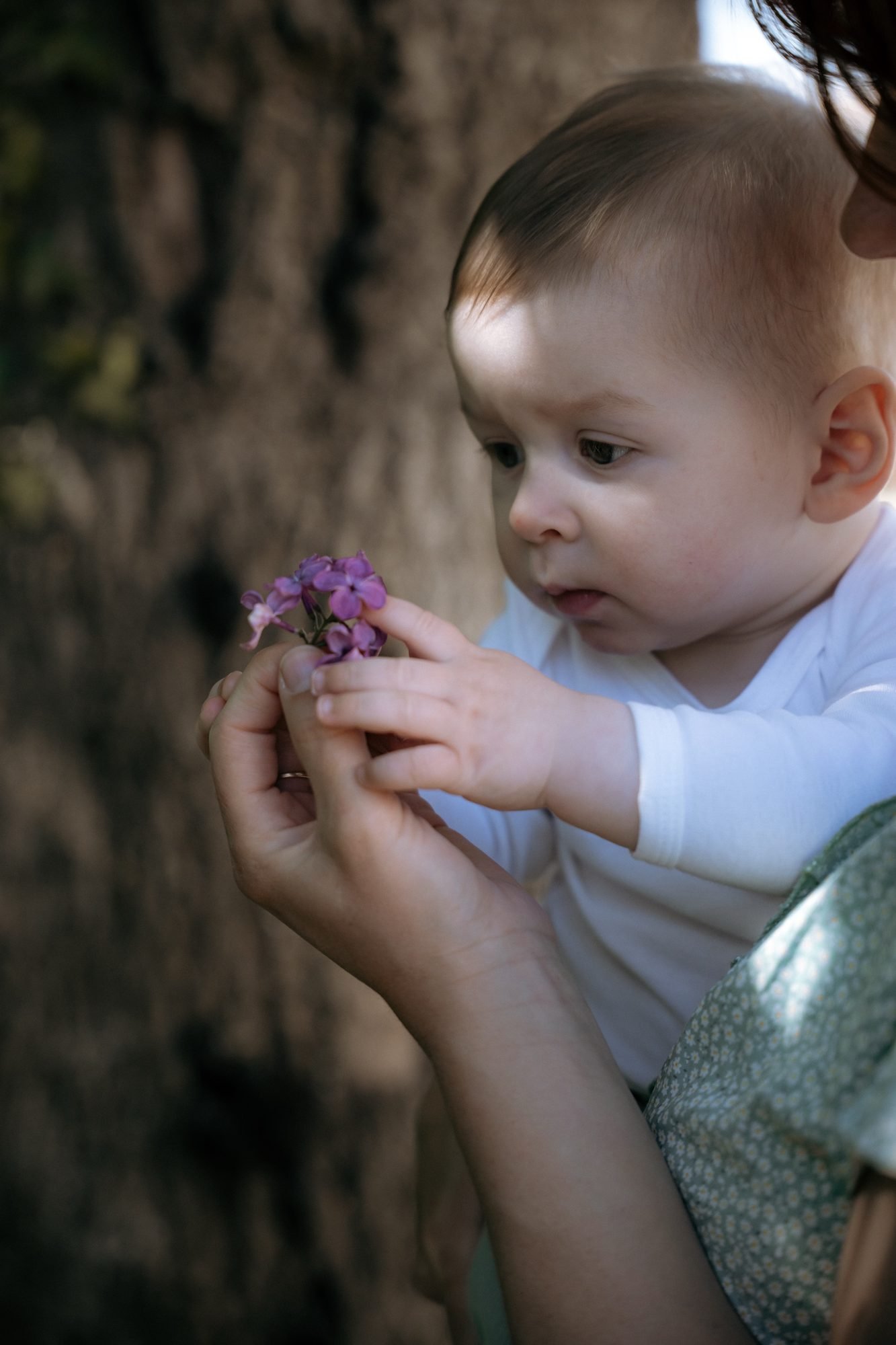 Maman et bébé explorent les fleurs du jardin ensemble