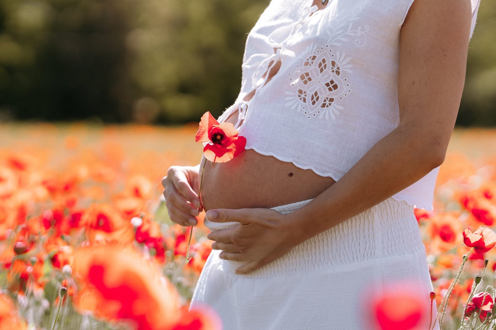 Ventre de femme enceinte tenant un coquelicot, tenue blanche brodée, champ de fleurs