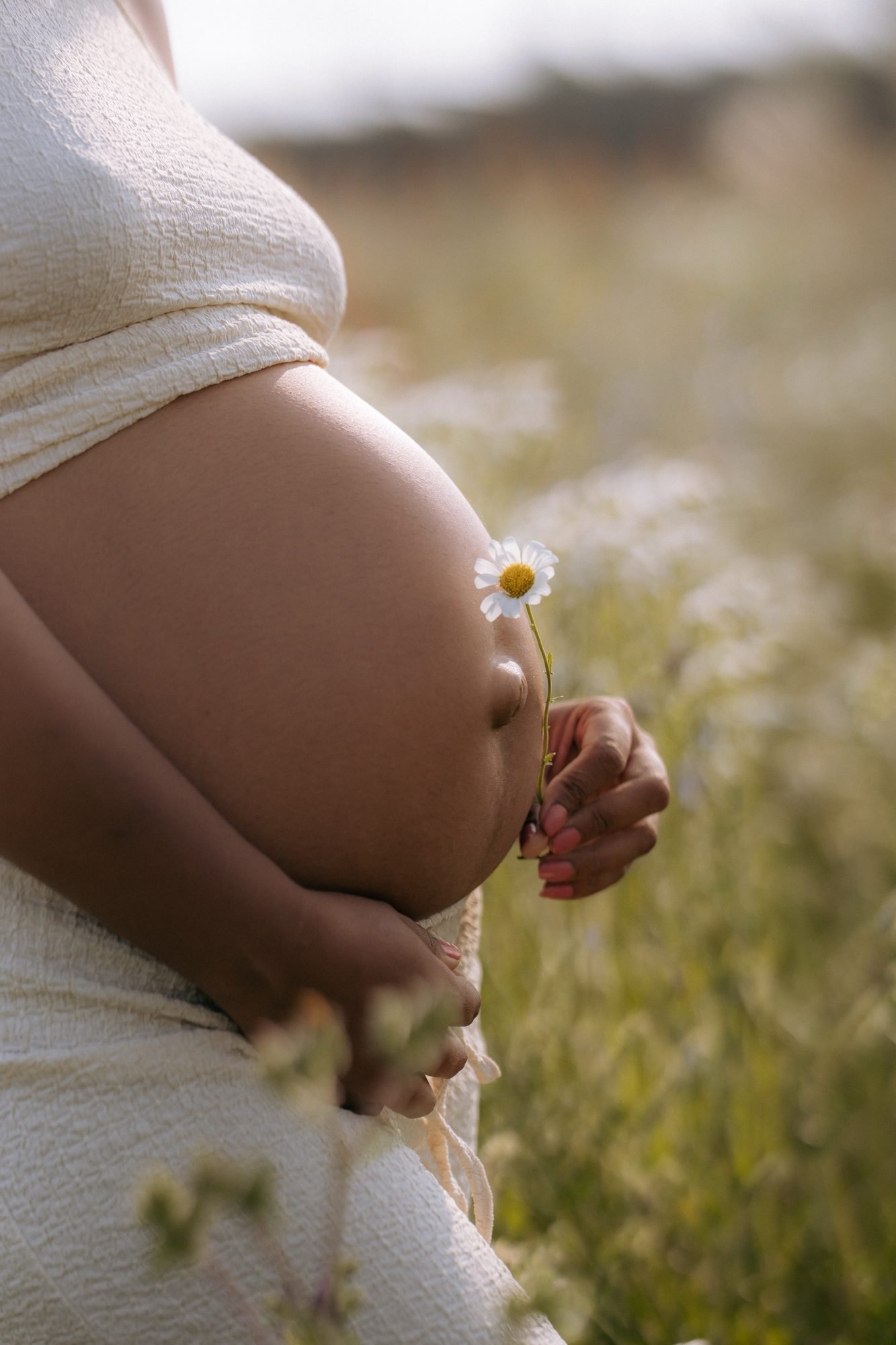 Ventre de femme enceinte avec une marguerite, gros plan sur la main